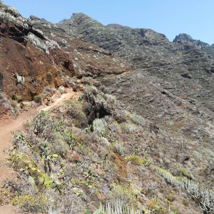 Tenerife Santa Cruz de Tenerife Exteriör bild