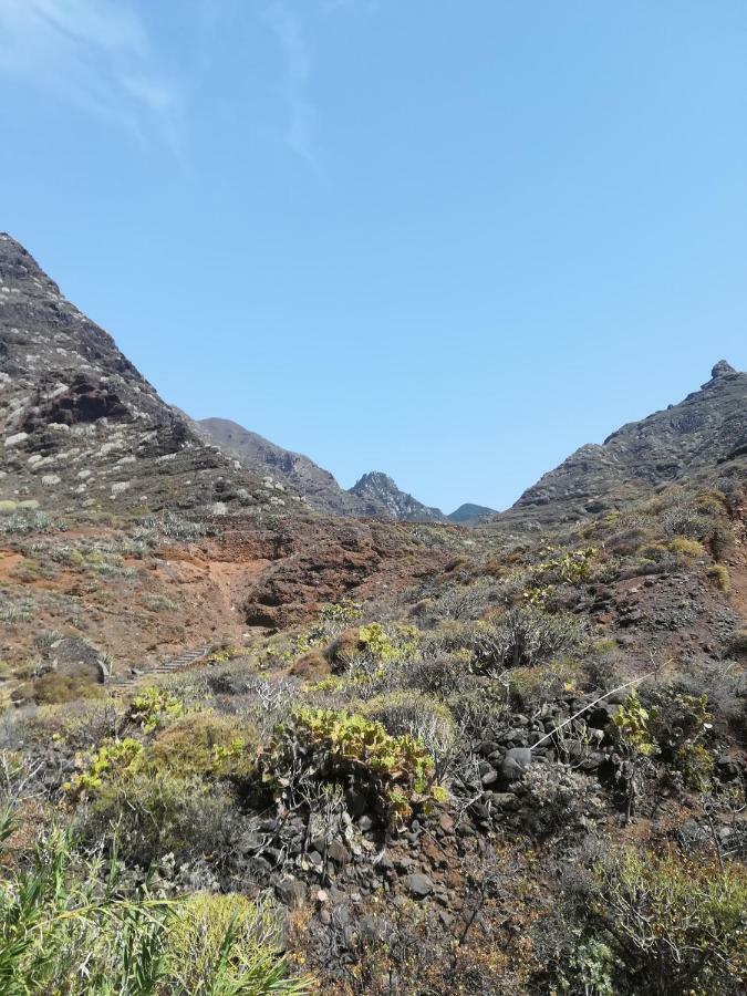 Tenerife Santa Cruz de Tenerife Exteriör bild